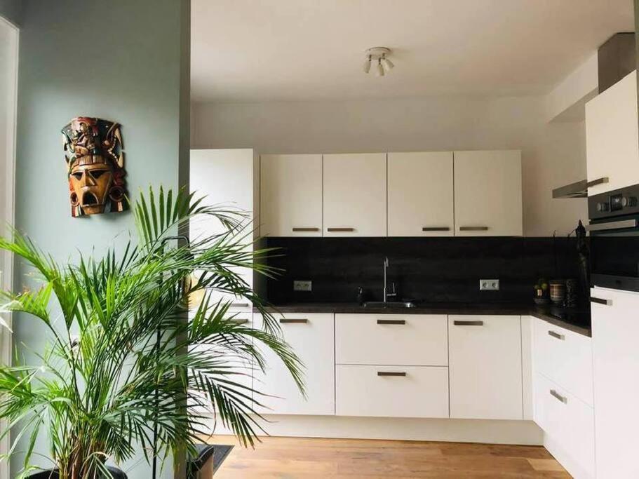 Compleet Huis In Nijmegen Leilighet Eksteriør bilde